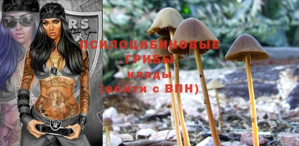 твердый Сафоново