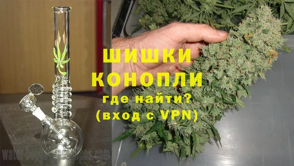 apvp Богородск