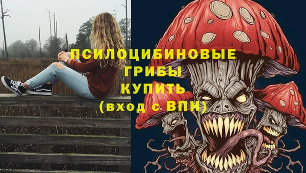 a pvp Белокуриха