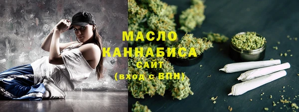 тгк Богородицк