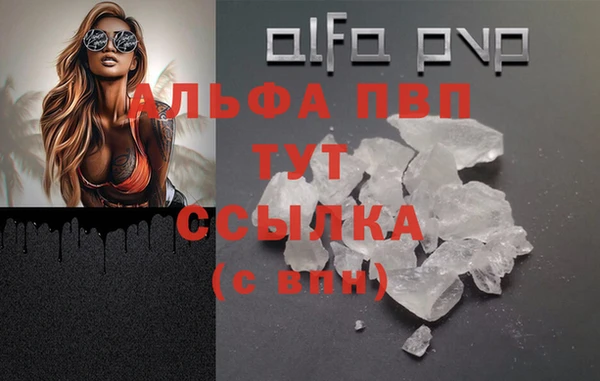 a pvp Белокуриха