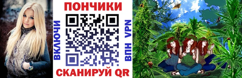 Шишки марихуана семена  Карпинск 